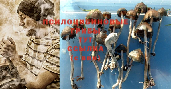 стаф Балахна