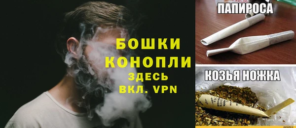 PSILOCYBIN Баксан