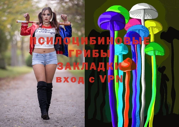 стаф Балахна