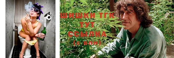 стаф Балахна