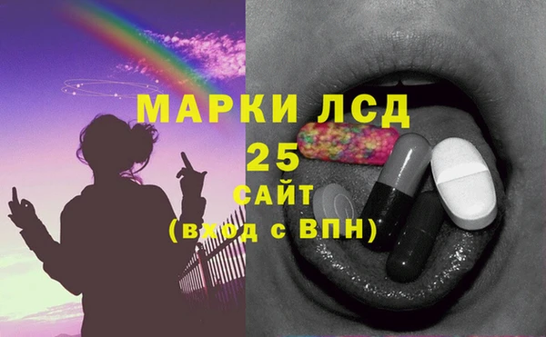 PSILOCYBIN Баксан
